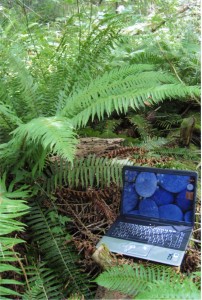 A laptop in the woods, waiting for a writer.