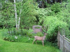 IMG_0867