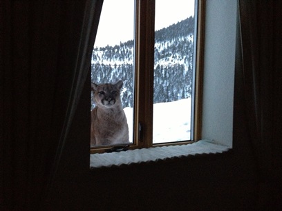 Photo by Verena Vomastic