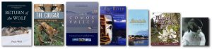 Paula Wild's books